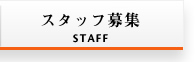 スタッフ募集